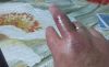 20190528_192913.thumb.jpg.da98b6ab0826a450dfc31003f000f050.jpg