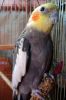 2109419018_.thumb.jpg.fdba968ccc3bcbf0626e9a4205e6aa99.jpg
