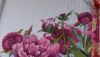 3.thumb.JPG.099d87c1cb7fadf3f9ba432ea4a05a03.JPG