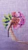 3.thumb.JPG.ccc4cdff48f5c20aa19938eb5f4110b3.JPG