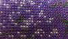 3.thumb.jpg.5ff26bc07a048f6ac2f489a7c6cc6686.jpg