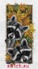 32808.thumb.jpg.1387debf6d8a93ab32bd67cc7b50726b.jpg