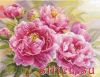 36721.thumb.jpg.2c29033afb60bef110d4097d0d9c27d5.jpg