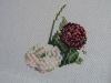4.thumb.JPG.d0e0b3986107cf0b46a3738e729988a6.JPG