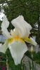 AC3BC553-0E20-442E-BD93-9FA822FDBF39.thumb.jpeg.847d5e3c2523fc589e746872edff8daf.jpeg