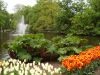 DSC01890.thumb.JPG.ac38bde0c5d2382d73830eb49a8bc99d.JPG