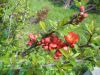 DSC02503.thumb.JPG.b174e8184aaf42d27061b47ec2cc18fb.JPG