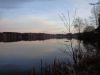 DSC05484.thumb.JPG.50fba4dd68989db4f6ef93bfefbacdf7.JPG