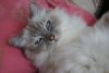 DSC05662.thumb.JPG.fc88215da7e9d86bbcd690d68e485f03.JPG