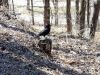 DSC05940.thumb.jpg.c60680863acef7c3f5de452750425bc1.jpg