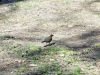 DSC05971.thumb.jpg.7f4e57815650e3fd7e2a4f5e1ab7988a.jpg