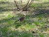 DSC05979.thumb.jpg.d382760c1d28de64863849472682a4a1.jpg