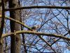 DSC05981.thumb.jpg.1c4ed89bb491c840c96e4102aa1770e4.jpg