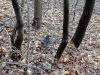 DSC06033.thumb.jpg.bf8b27ed5a8b0eba32925c0823d9749b.jpg