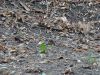 DSC06281.thumb.jpg.614c3b163cd1112aedcb3ed27eb18a97.jpg