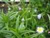 DSCN2095.thumb.JPG.8cf38af81e01d88daf27f12ffd40d5e0.JPG