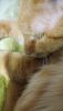 DSC_1131.thumb.JPG.8a519493436d6807d8c04a6353210c2a.JPG