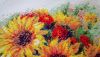 DSC_1186.thumb.JPG.ae536a784104321a63f381a42752093e.JPG