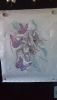 DSC_1403.thumb.JPG.ede5f77bdd15b087ba8e54075a11d9b8.JPG