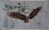 Eagle5.thumb.JPG.4b184843c46d5c2e2c9f2516718c9bdd.JPG