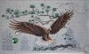 Eagle7.thumb.JPG.a31ef84ec8ec1121e10d9455ffc787d6.JPG