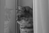 IMG-03d08b406f29139810c5179426bff69c-V.jpg