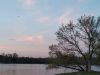 IMG_20190501_201240.thumb.jpg.45cffdf58d976ccdce6fd0db075bd934.jpg