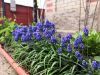 IMG_20190503_180836.thumb.jpg.4b45dc229356026b1847576c7cc0ee73.jpg
