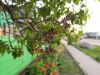 IMG_20190505_192656.thumb.jpg.ca0fe5a98a52094989dce8ae6eeeab0f.jpg