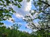 IMG_20190507_110900.jpg