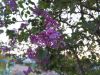 IMG_20190509_195148.thumb.jpg.43b3abfceb3e562c446ee537129c6eaf.jpg