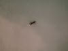 IMG_20190510_191939.thumb.jpg.965a414ac1114cefbe92a6194164bea0.jpg