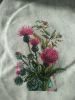 IMG_20190518_080508.thumb.jpg.ed68cd4edb580aa9c8dbd3f9d5bb96dc.jpg