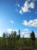 IMG_20190518_174824_HDR.thumb.jpg.bf3a613b41213a6e28c75962ac806394.jpg