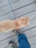 IMG_20190518_204917_HHT.thumb.jpg.b3de5bffb825101e5a009a07e7fb2eaf.jpg