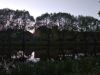 IMG_20190518_205613.thumb.jpg.860bbdd0ad833e5448fa585398f00bb1.jpg