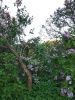 IMG_20190524_195227.thumb.jpg.da68761e0b56daf3d450dad74341d156.jpg