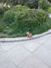 IMG_20190524_200000.thumb.jpg.bfb8275c235df9edf04e3c04ebee21c3.jpg