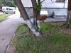 IMG_20190524_202354_HHT.thumb.jpg.9244ccaccc179ac774b7be5568949947.jpg