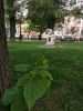 IMG_20190525_115311.thumb.jpg.3bd879707f930d304b7360042c1c0947.jpg