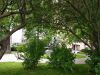 IMG_20190525_123901.thumb.jpg.286797e80a4be49b40cd37db0e6552fd.jpg