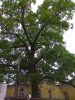 IMG_20190525_124451.jpg