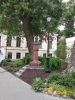 IMG_20190525_164526.thumb.jpg.bfb9cdedc4d7992e2310dc7c022206da.jpg