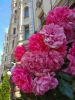 IMG_20190526_142228.thumb.jpg.154276204aa584f39d58516a5d4ca739.jpg