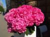 IMG_20190526_142242.thumb.jpg.47450d06b42c7cf22fb25ce12add62de.jpg