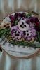 IMG_20190526_182607.jpg