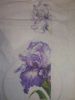 IMG_20190527_202719.thumb.jpg.d2e92ea7a899481cd1b86cfec536503d.jpg