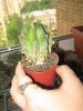 IMG_3164.thumb.JPG.bc3ad0279bdd8c8f4fce6fb0bebe5446.JPG