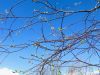 IMG_3835.thumb.jpg.5ba57de2dc84a0e3e263d365c38a78ad.jpg