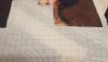 IMG_5701.thumb.JPG.a0296eed8a1fcdbbd8ddd2085b18a6c1.JPG
